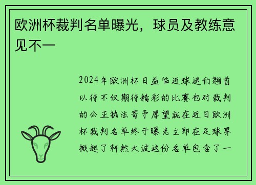 欧洲杯裁判名单曝光，球员及教练意见不一