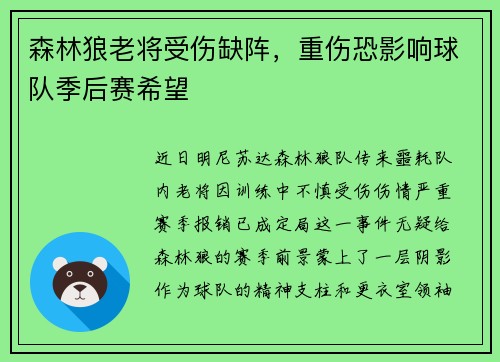 森林狼老将受伤缺阵，重伤恐影响球队季后赛希望